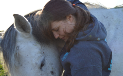 Min rejse med hestene