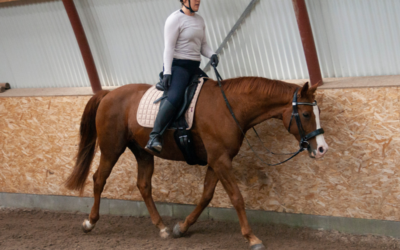 Når træningen går skævt