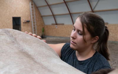 Hvordan foregår et forløb hos Helany Equine
